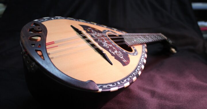mandolin-g6e5cedff7_1920