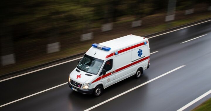 wilki-na-terenie-d--bicy-----apel-o-ostro--no------auto-1054