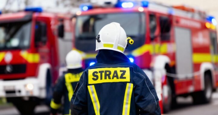 przedszkolaki-odkrywaj---tajniki-stra--ackiego---w-auto-6662
